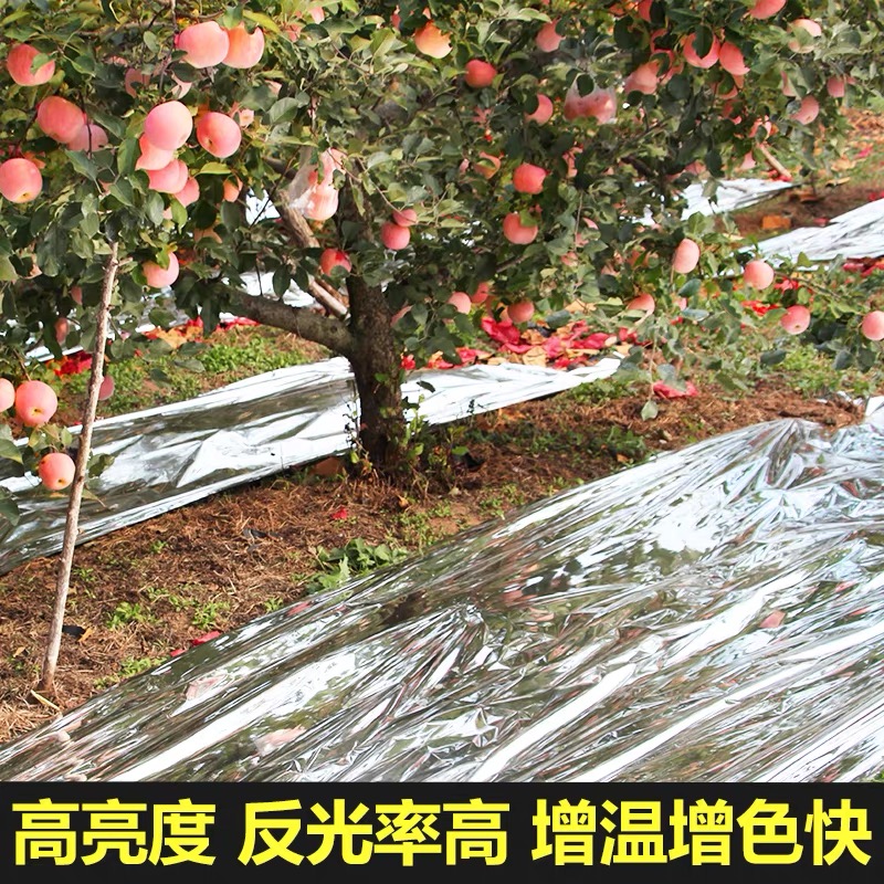 淮南市塑料薄膜果树反光膜 - 哪里好